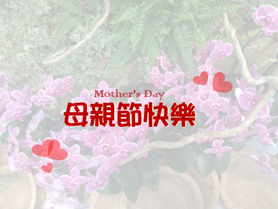母親節快樂 Mother’s Day：每年都會安排一頓美好的餐點與媽媽來共同享用，但可以來點不一樣的禮物，送一份媽媽健康檢查。